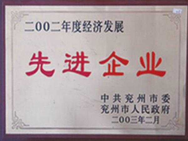 經濟發(fā)展先進企業(yè)